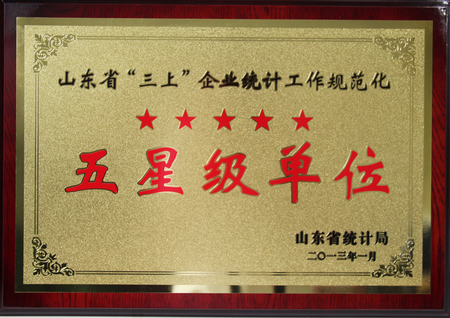 开发公司被授予省“三上”企业统计规范化五星级单位