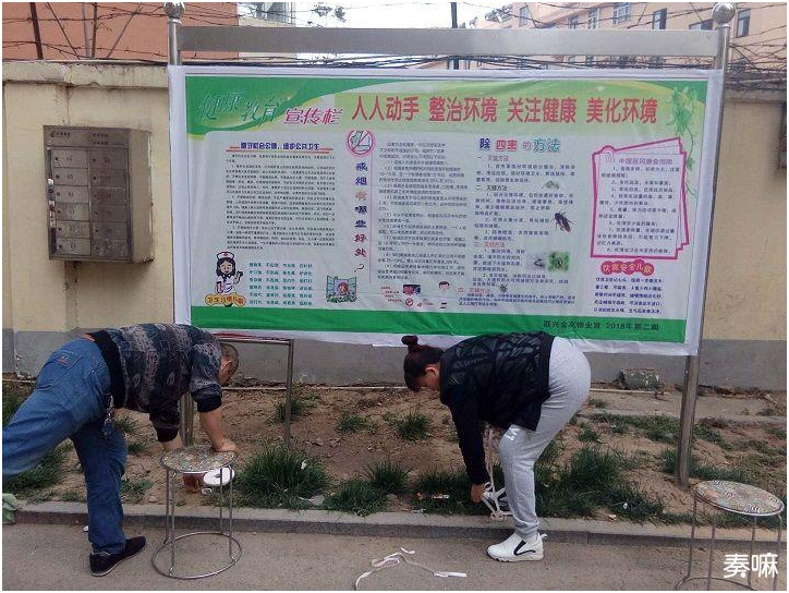 创卫复审攻克艰 金友物业与业主肩并肩